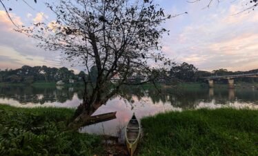 Alleppey Backwaters from Best Of Kerala - Cosima Holidays