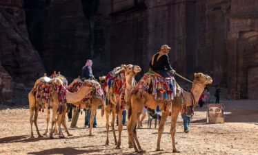 jordan, nature, petra, camels, dromedary, desert, tourism