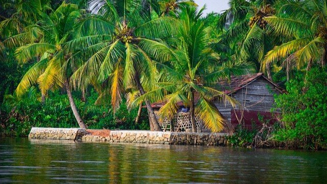 A rustic Kerala backwater village hut surrounded by lush coconut palms and calm waterways, showcasing the ideal time to travel Kerala for different types of travelers including nature lovers, photographers, families, and solo adventurers seeking authentic rural experiences year-round.