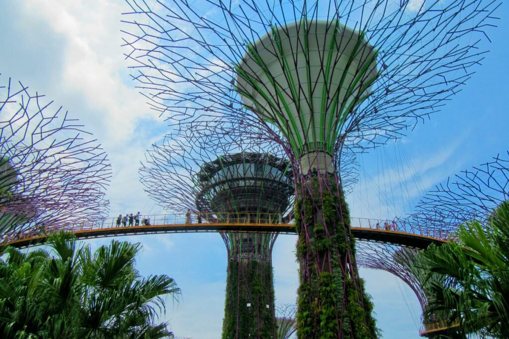 Spectacular view of Supertree Grove and OCBC Skyway in Singapore's Gardens by the Bay, showcasing iconic architecture.