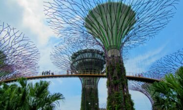 Spectacular view of Supertree Grove and OCBC Skyway in Singapore's Gardens by the Bay, showcasing iconic architecture.