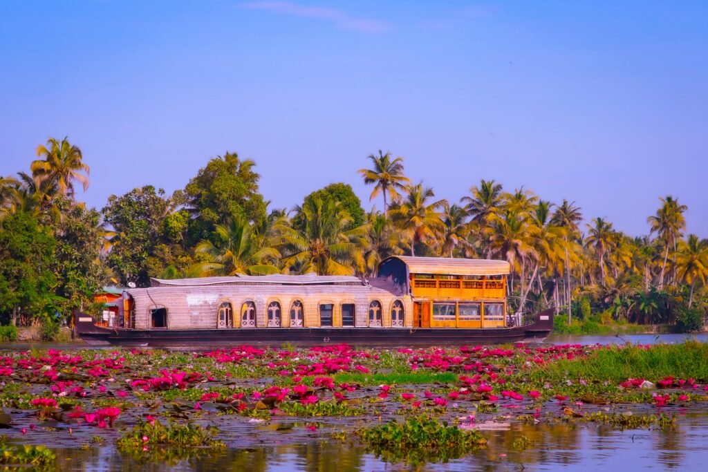 Scenic houseboat amidst vibrant pink lotus flowers on Kerala's Backwaters