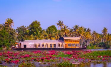 Scenic houseboat amidst vibrant pink lotus flowers on Kerala's Backwaters