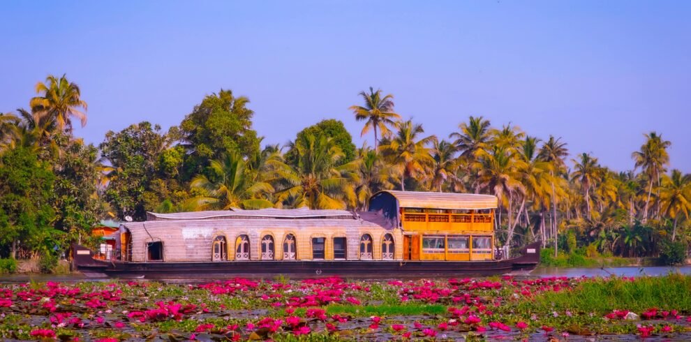 Scenic houseboat amidst vibrant pink lotus flowers on Kerala's Backwaters