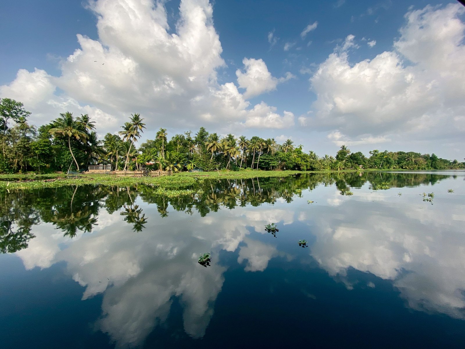 Value for Money Kerala tour packages from Cochin by Cosima Holidays