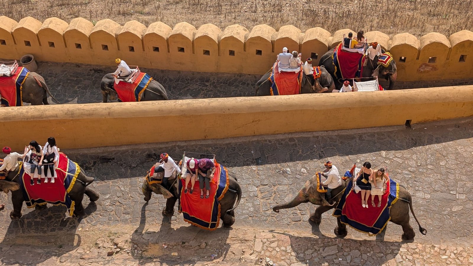 Tourists enjoying elephant rides along a historical fort wall in India, capturing cultural tradition.