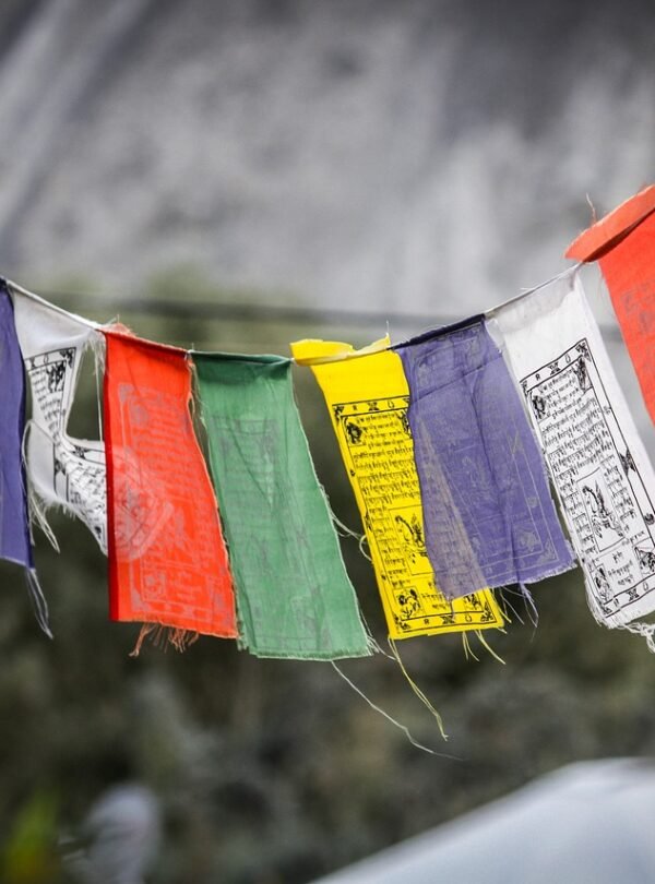 photography, ladakh, india, ladakh, ladakh, ladakh, ladakh, ladakh