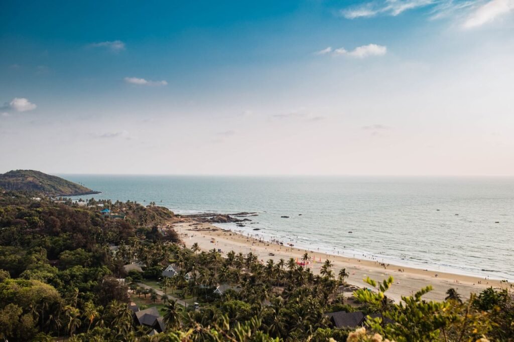 A beautiful aerial view of Mandrem Beach, Goa, with lush greenery and a serene coastline.