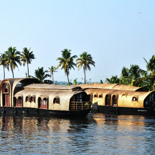 Traditional houseboats on Kerala's tranquil backwaters surrounded by palm trees.